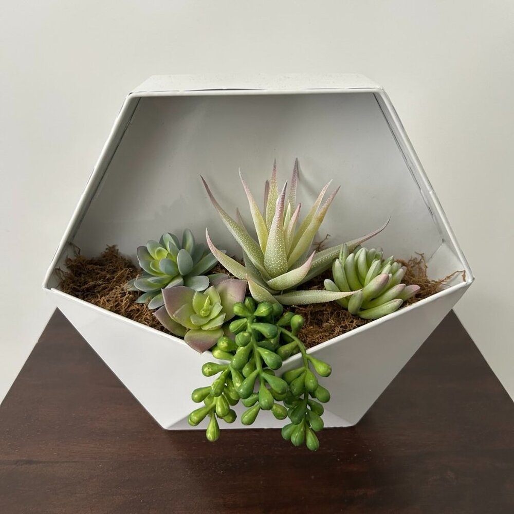 Faux succulents in wall planter